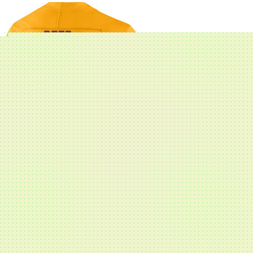 Washington Redskins Limited Gold Men Jordan Reed Jersey NFL Football #86 100th Season Rush Vapor